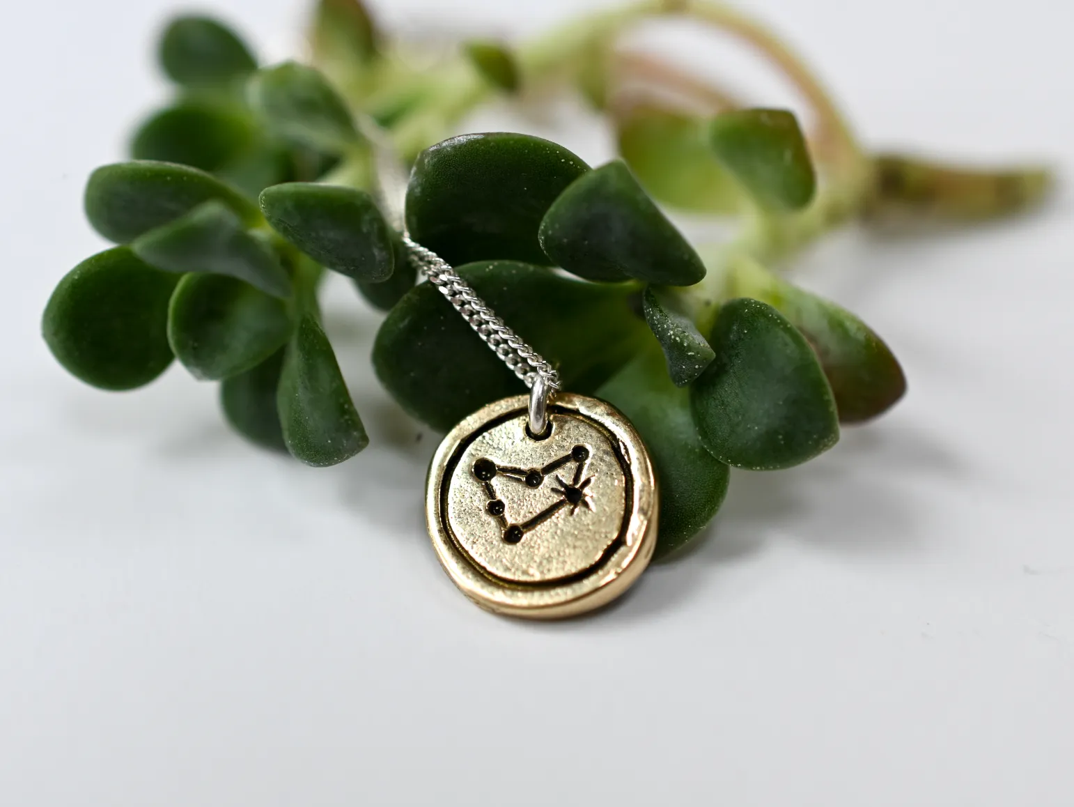 Zodiac Pendant - Capricorn