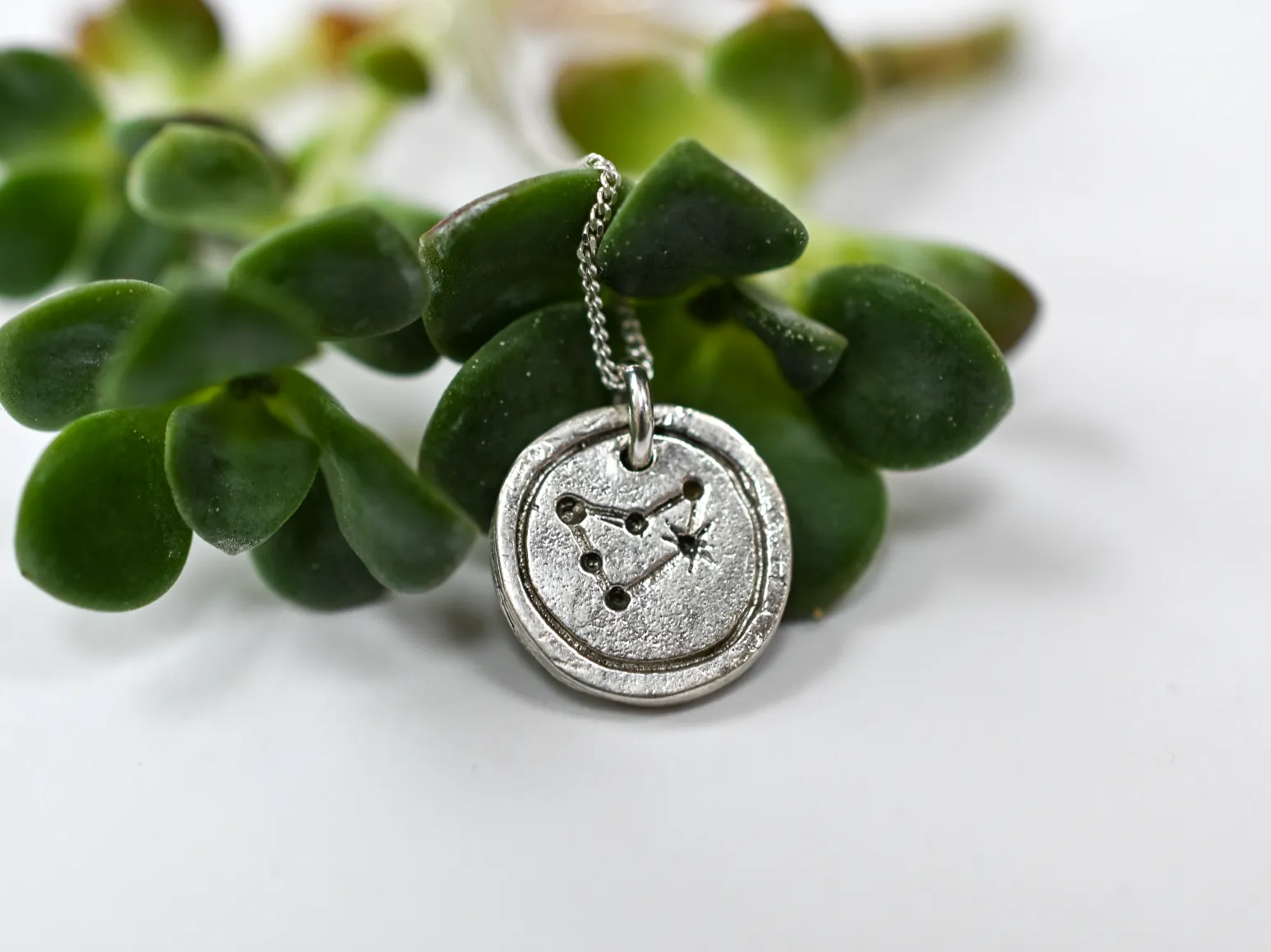 Zodiac Pendant - Capricorn